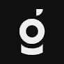 White Gullwing logo on black background
